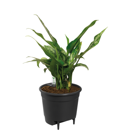 Self Watering Insert - 33 cm