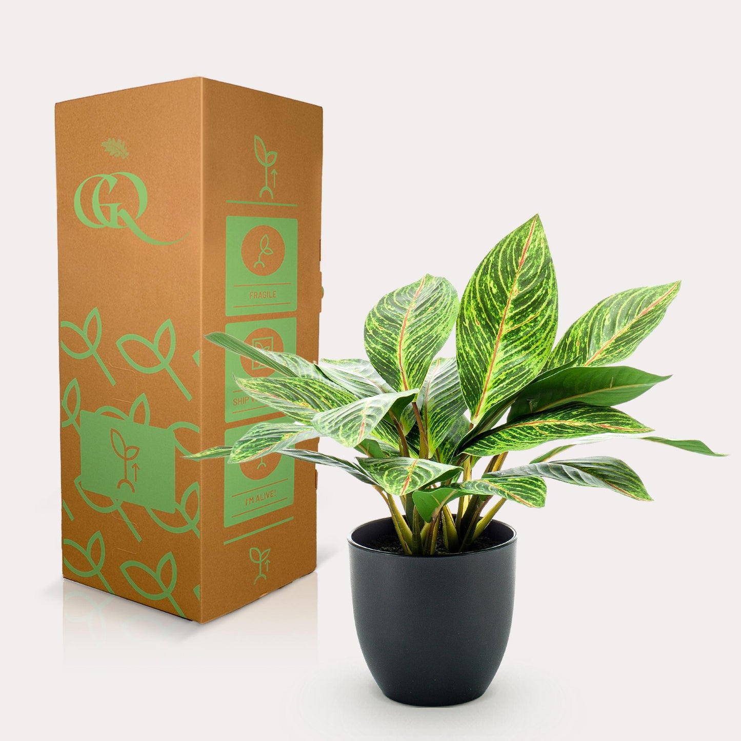 Kunstplant - Croton Codiaeum - Wonderstruik - 38 cm