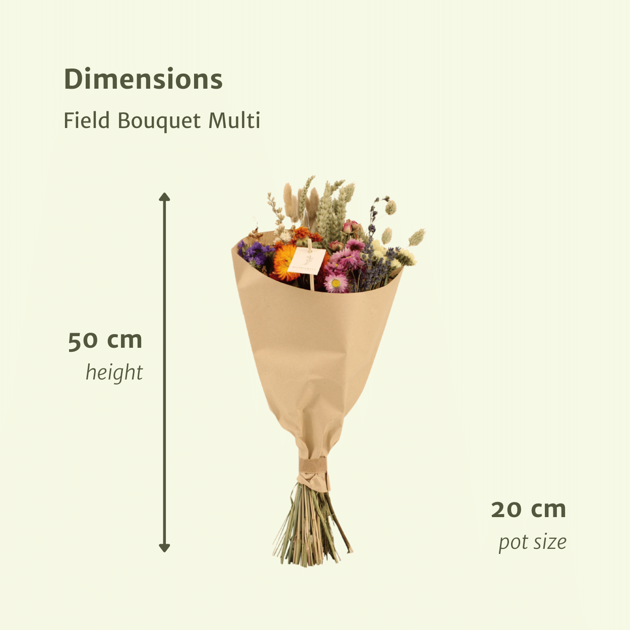 Droogbloemen Field Bouquet Multi - Ø20cm - ↕50cm