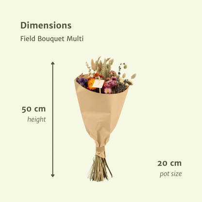 Droogbloemen Field Bouquet Multi - Ø20cm - ↕50cm