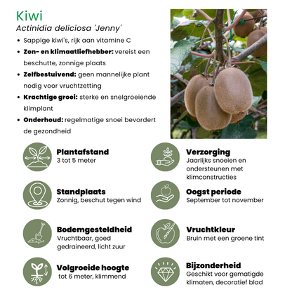 "Zomervruchten" BIO Fruitplanten mix set van 4 verschillende soorten