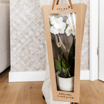 Cadeau tasje voor Orchidee met Sierpot 9cm