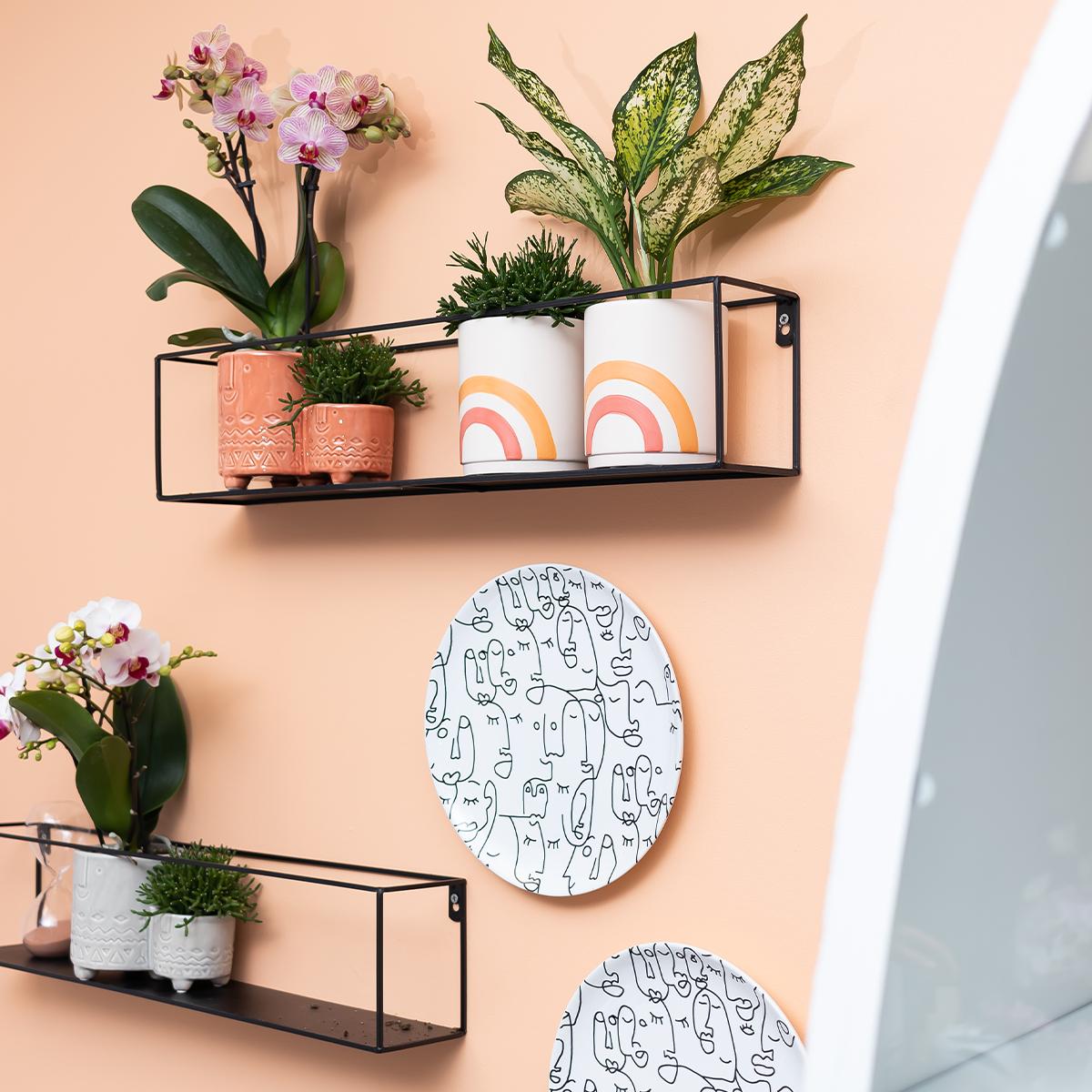 Kolibri Home | Rainbow peach bloempot - Crème keramieken sierpot met print