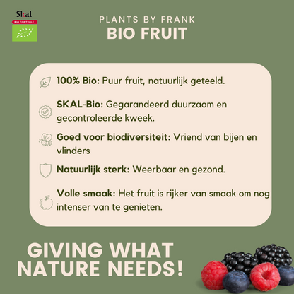 "Vruchten feestje" BIO Fruitplanten mix set van 3 verschillende soorten