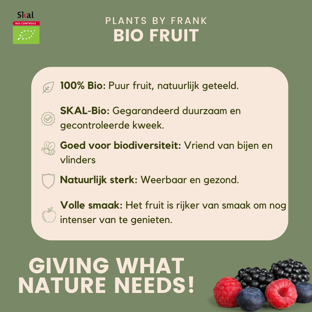 "Vruchten oase" BIO Fruitplanten mix set van 5 verschillende soorten