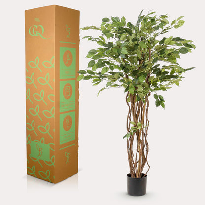 kunstplant - Ficus liana  - Vioolbladplant - 140cm