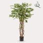 kunstplant - Ficus liana  - Vioolbladplant - 140cm