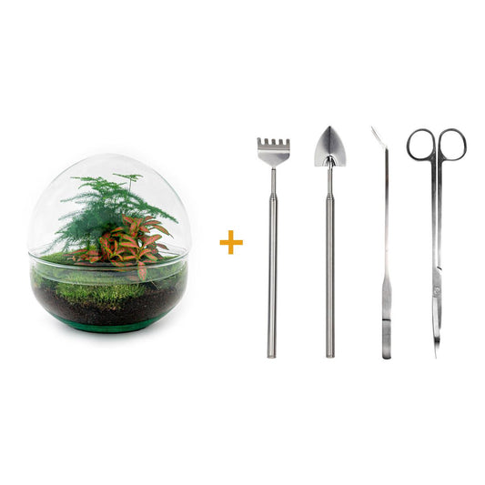 DIY terrarium - Dome Red - ↕ 20 cm - Rake + Shovel + Tweezer + Scissors