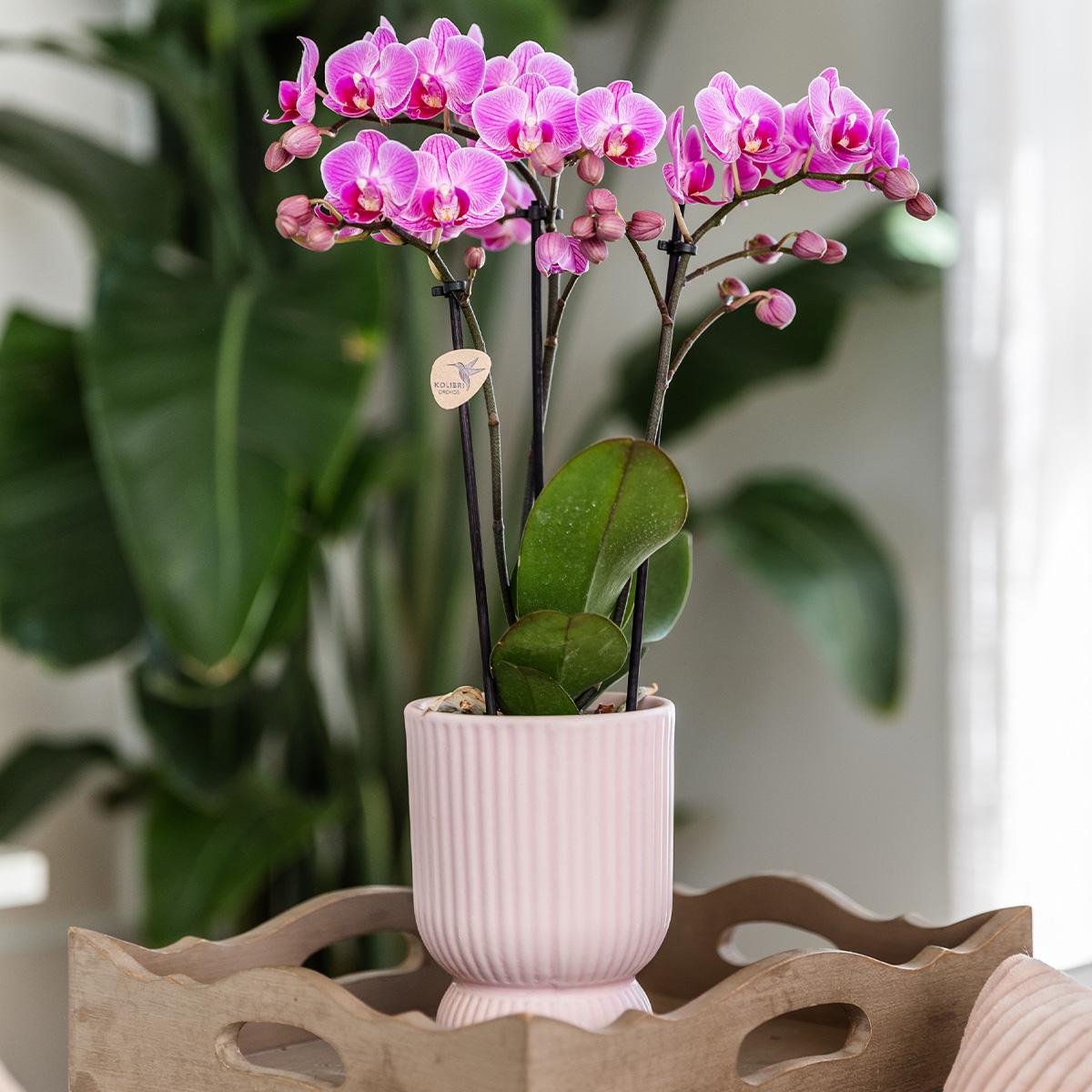 Kolibri Home | Diabolo pot pink - Ø12cm