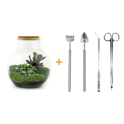 DIY terrarium - Teddy - ↕ 26,5 cm - Rake + Shovel + Tweezer + Scissors