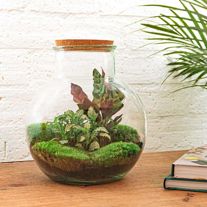 DIY terrarium - Teddy - ↕ 26,5 cm - Rake + Shovel + Tweezer + Scissors