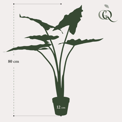 Kunstplant - Alocasia Frydek - Olifantsoor - 80 cm