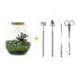 DIY terrarium - Teddy - ↕ 26,5 cm - Rake + Shovel + Tweezer + Scissors