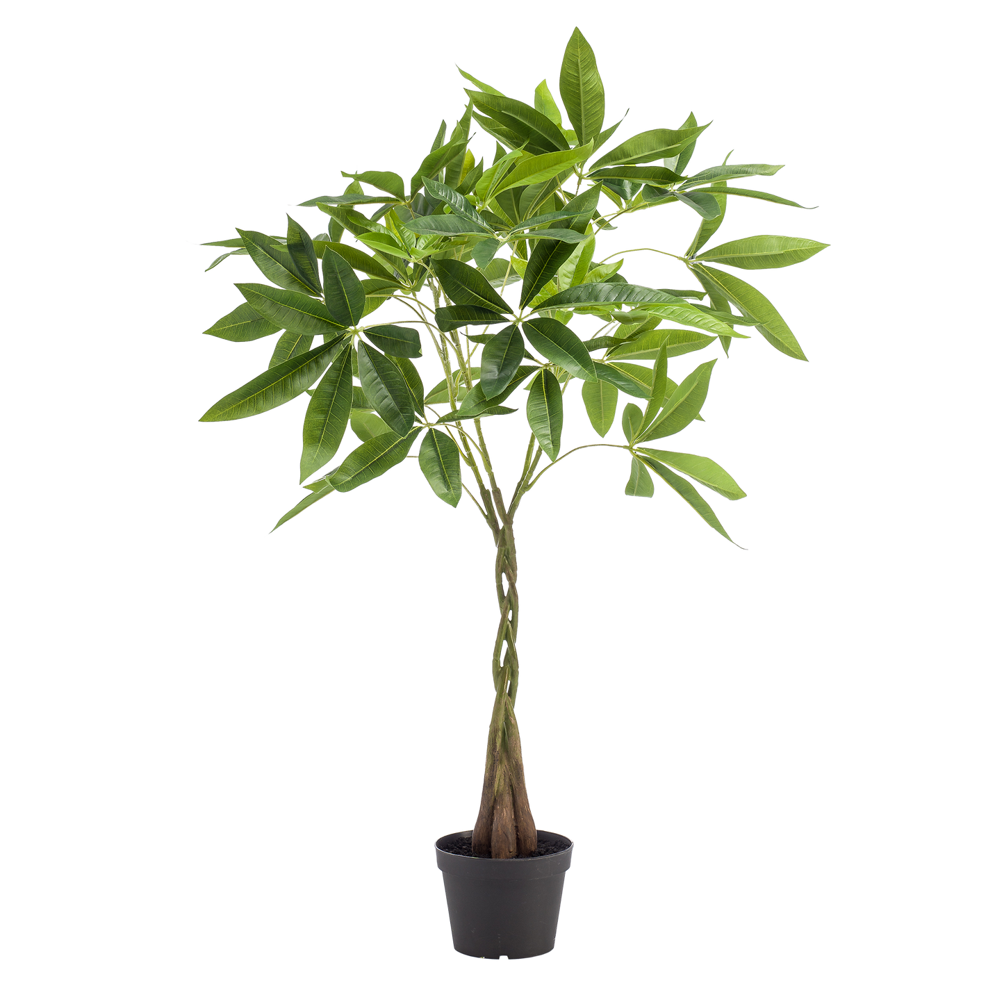 kunstplant - Pachira aquatica - Geldboom - 90cm