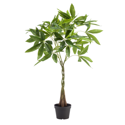 kunstplant - Pachira aquatica - Geldboom - 90cm