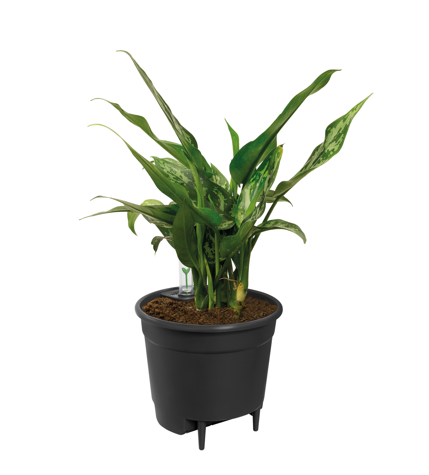 Self Watering Insert - 36 cm