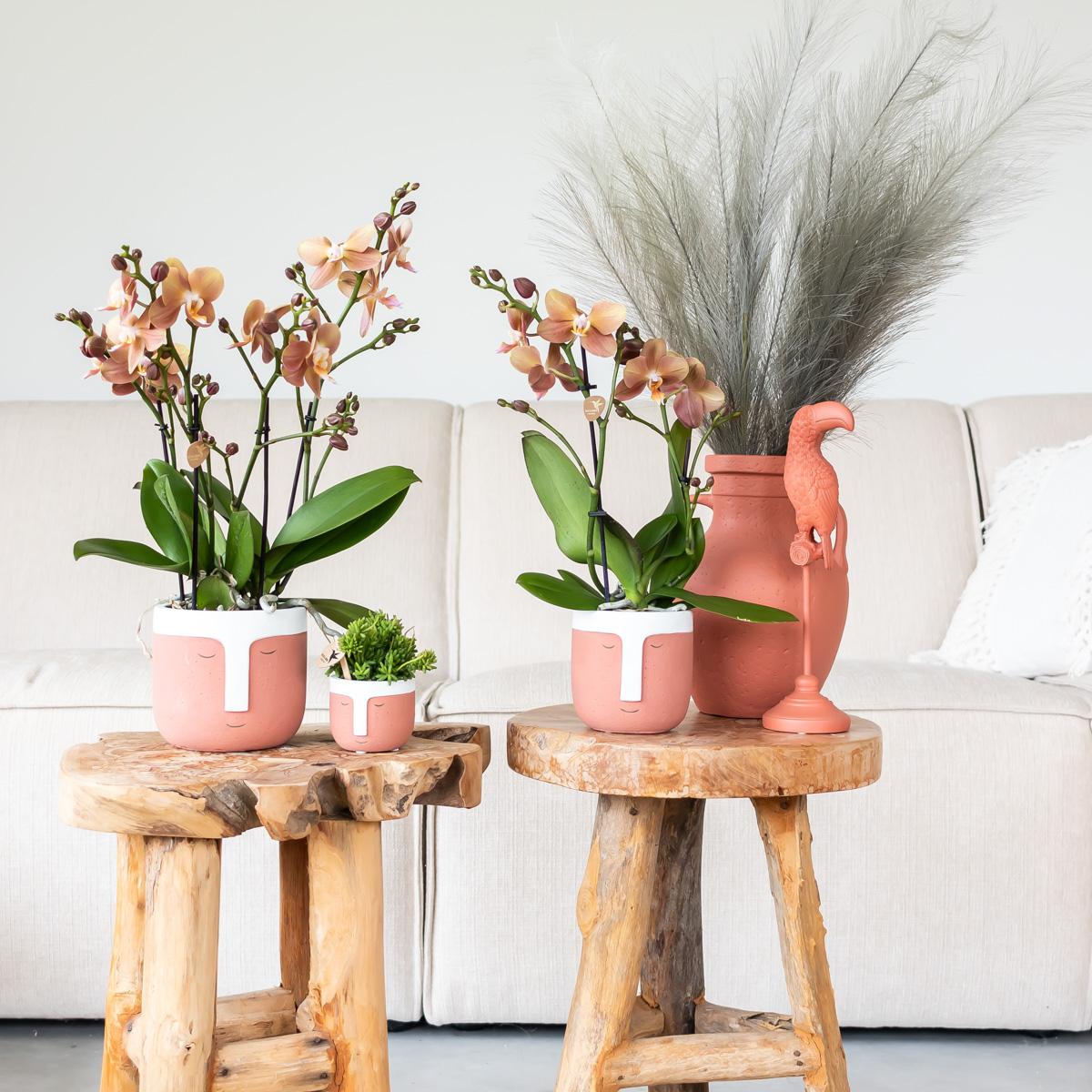 Kolibri Home | Ornament - Decoratie beeld Toucan - Terracotta