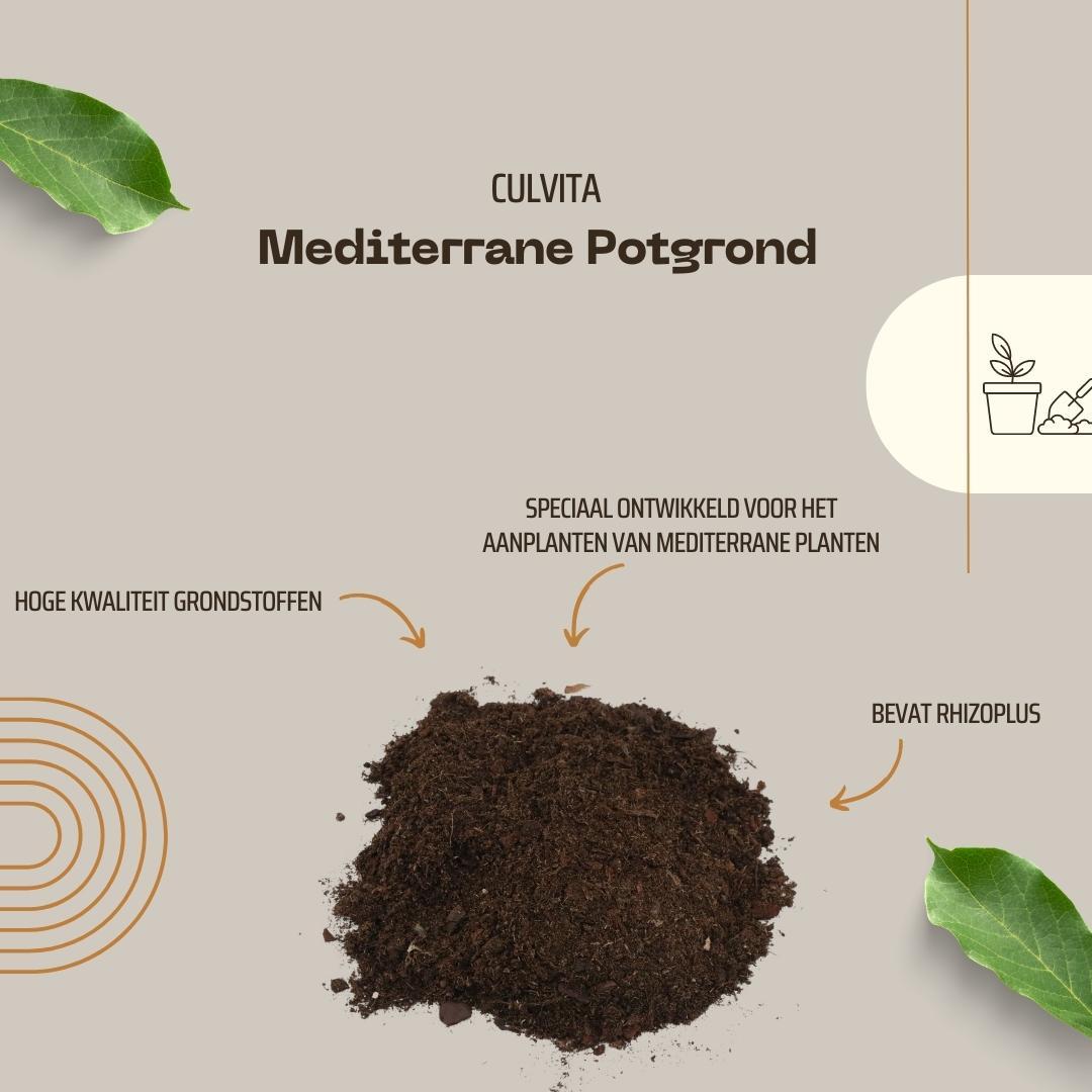 Culvita - Mediterrane Potgrond 40 Liter inclusief RhizoPlus - potgrond mediterrane planten o.a. geschikt voor olijfbomen, citrus en palmen