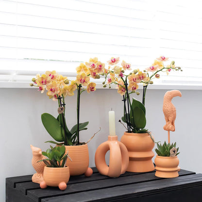 Kolibri Home | Rolling peach bloempot - Peach kleurige keramieken sierpot - Ø9cm