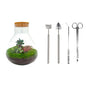 DIY terrarium - Sam XL Bonsai - ↕ 35 cm - Rake + Shovel + Tweezer + Scissors