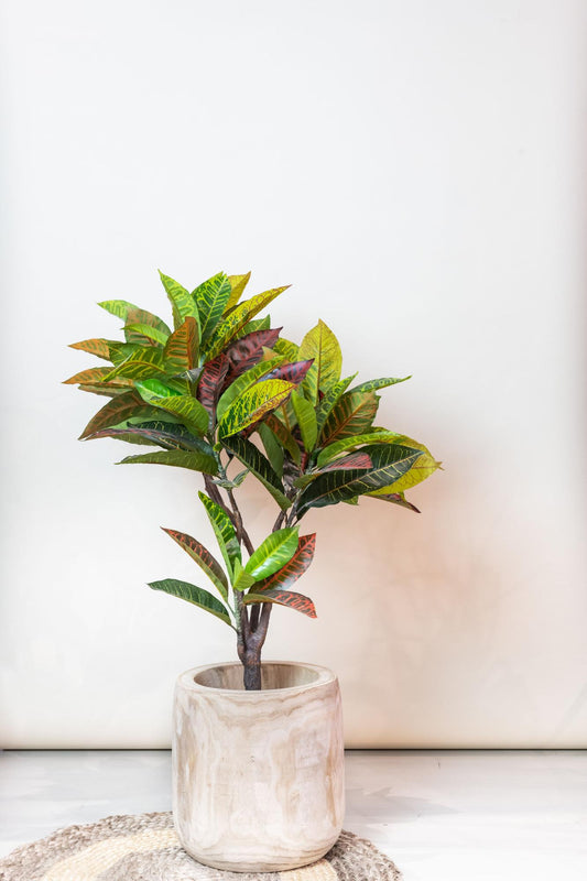 Kunstplant - Croton Codiaeum - Wonderstruik - 95 cm