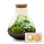 Terrarium - Sam XL + LED - ↑ 35 cm