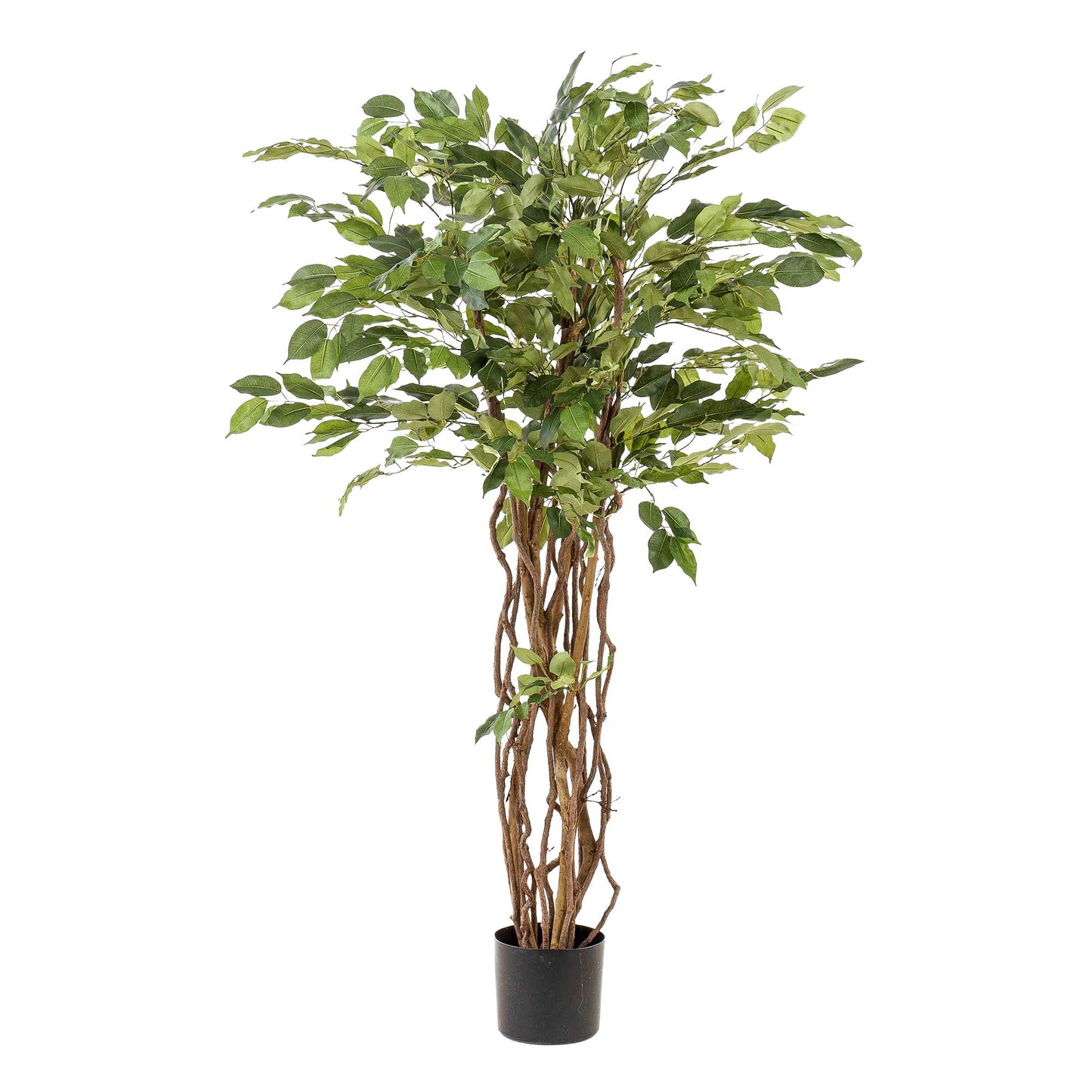 kunstplant - Ficus liana  - Vioolbladplant - 140cm