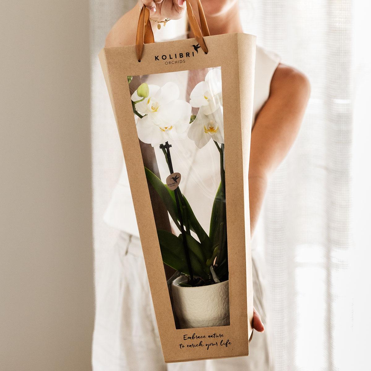 Cadeau tasje voor Orchidee met Sierpot 9cm