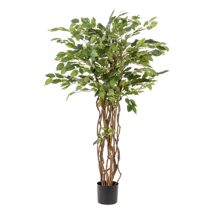 kunstplant - Ficus liana  - Vioolbladplant - 140cm