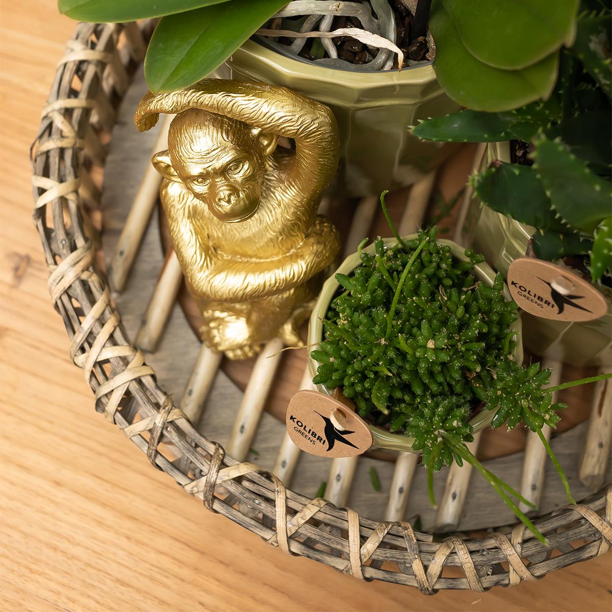 Kolibri Home | Ornament - Decoratie beeld Sitting Monkey - Gold